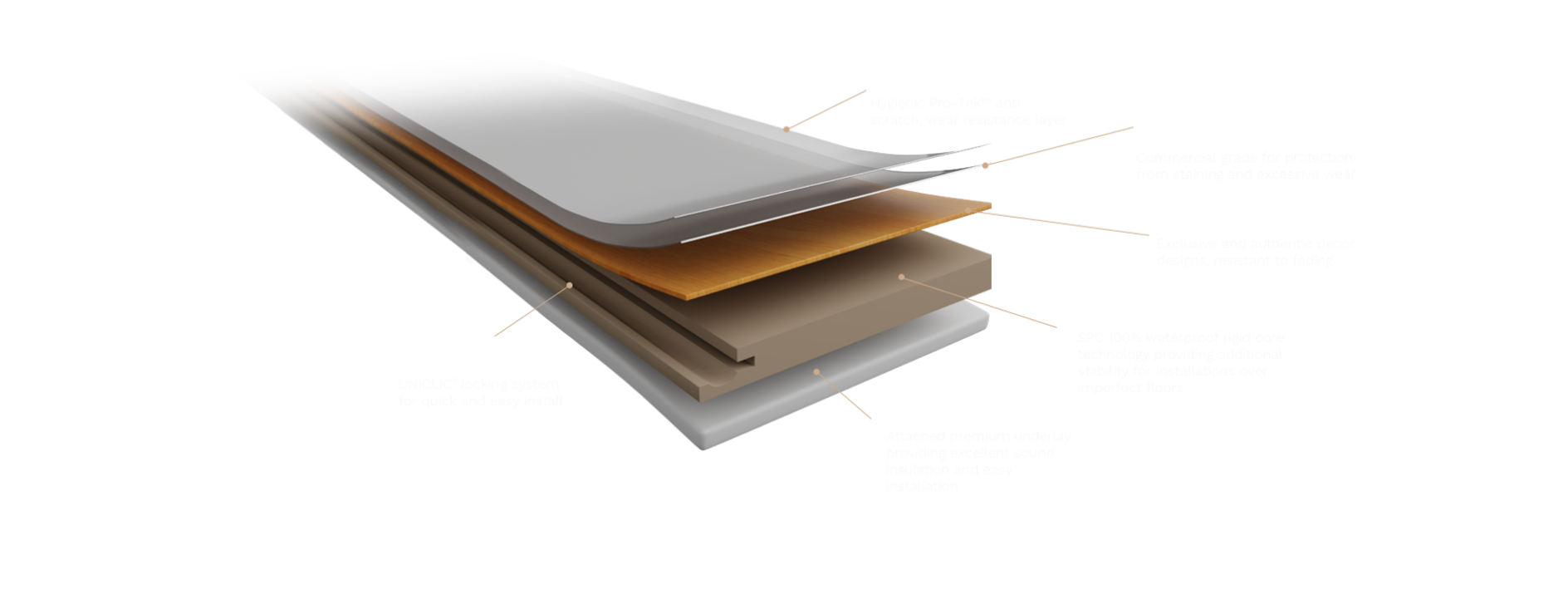 PT Editions Construction Logo: A logo image representing PT Editions Construction, a brand specializing in high-quality flooring solutions, combining style and functionality.