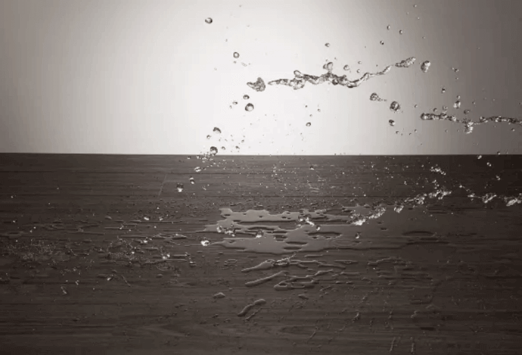 Warranties and What They Include: Understanding Flooring Guarantees and Coverage Terms