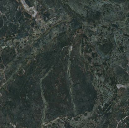 Argos Black Close Up